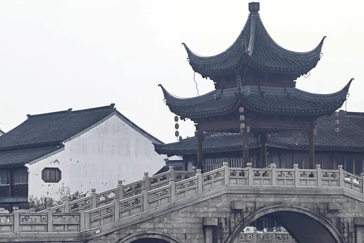 园中窥园