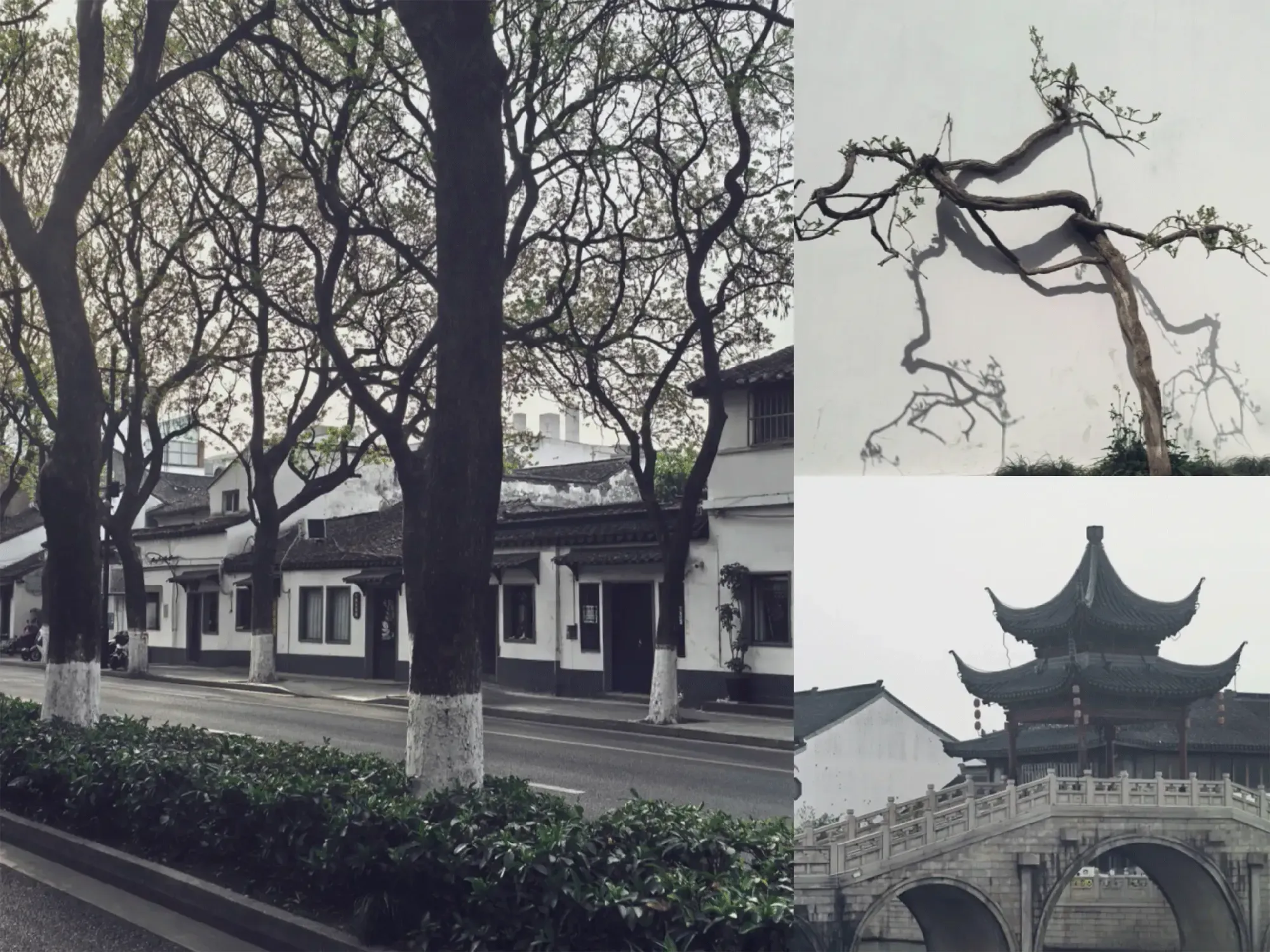 suzhou-journey-beginning-764a2737.webp
