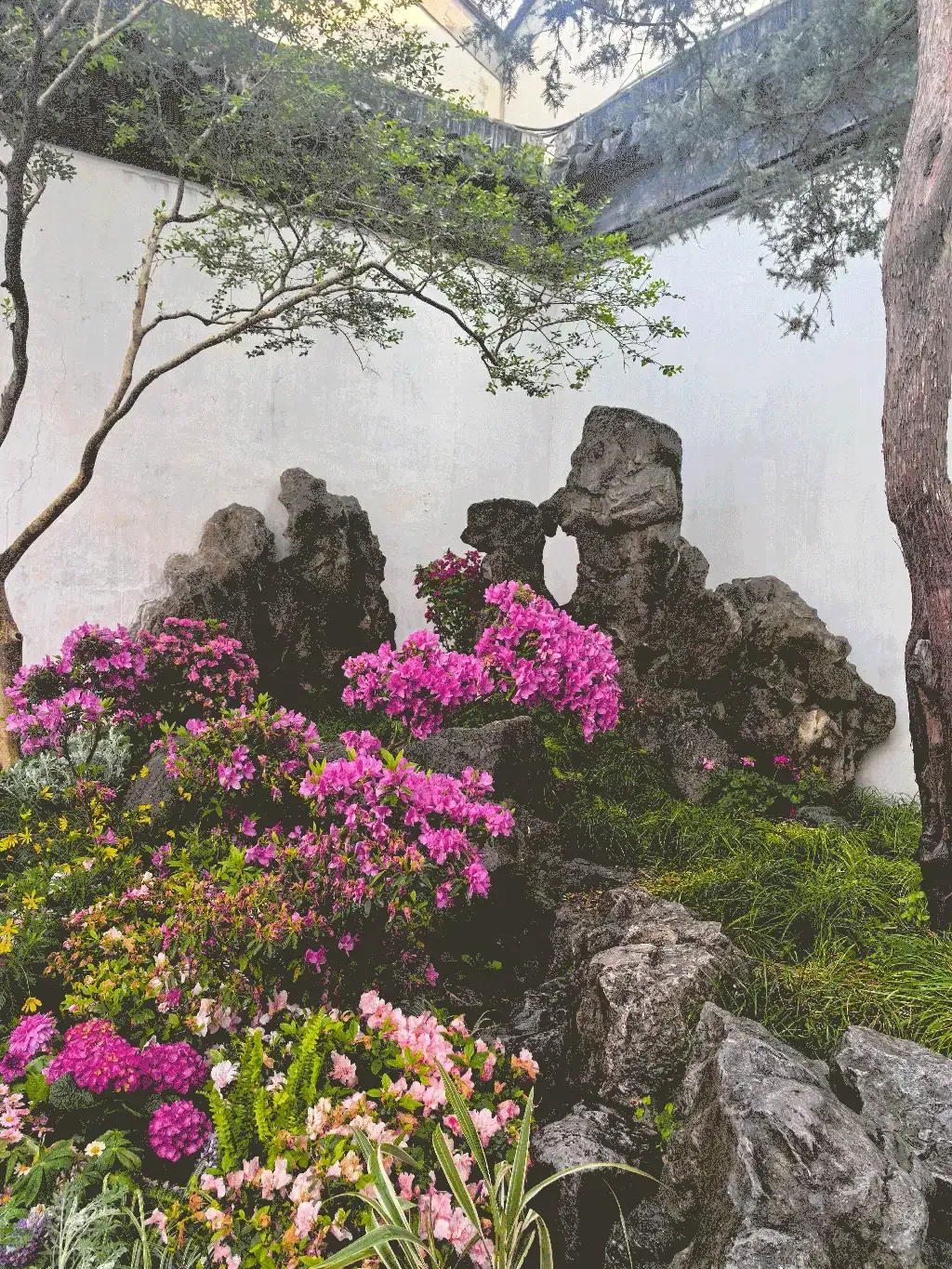 suzhou-journey-catch-eyes-2-eaeef1c6.webp