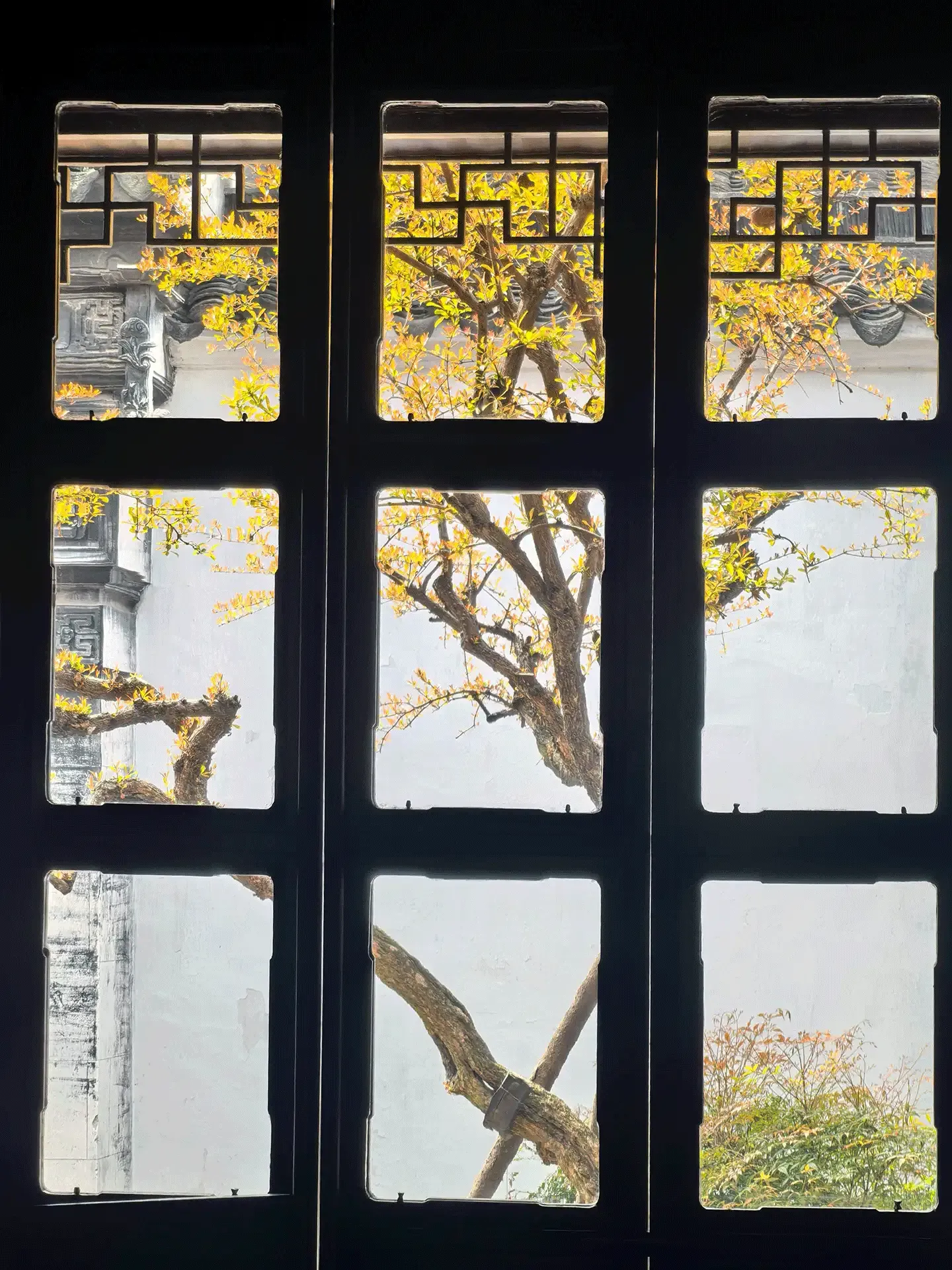 suzhou-journey-humble-administrators-garden-4-8fc2ef16.webp